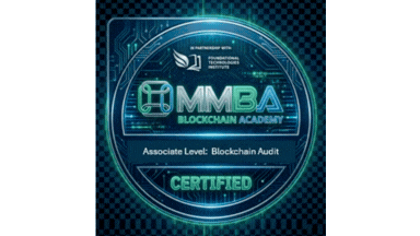 Audit Associate vector rec